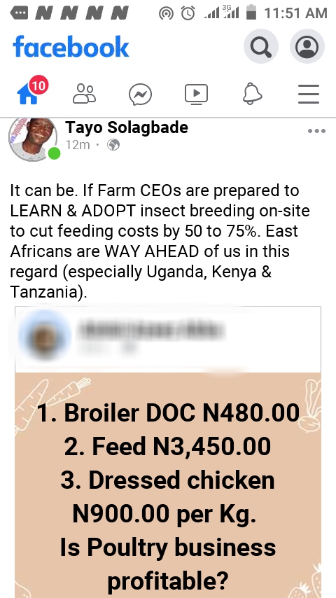 Screenshot of my recommendation of Insect Breeding to replace expensive protein ingredients in feeding poultry, in response to a Facebook post by a Farm CEO client complaining about poor profit margins in Poultry Farming.