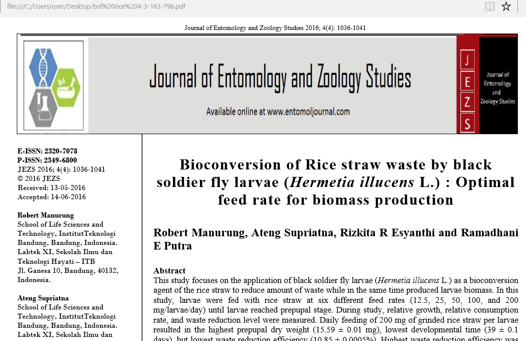 [BSF] Bioconversion of Rice Straw Waste by Black Soldier Fly Larvae (Hermetia illucens L.) : Optimal Feed Rate for Biomass Production