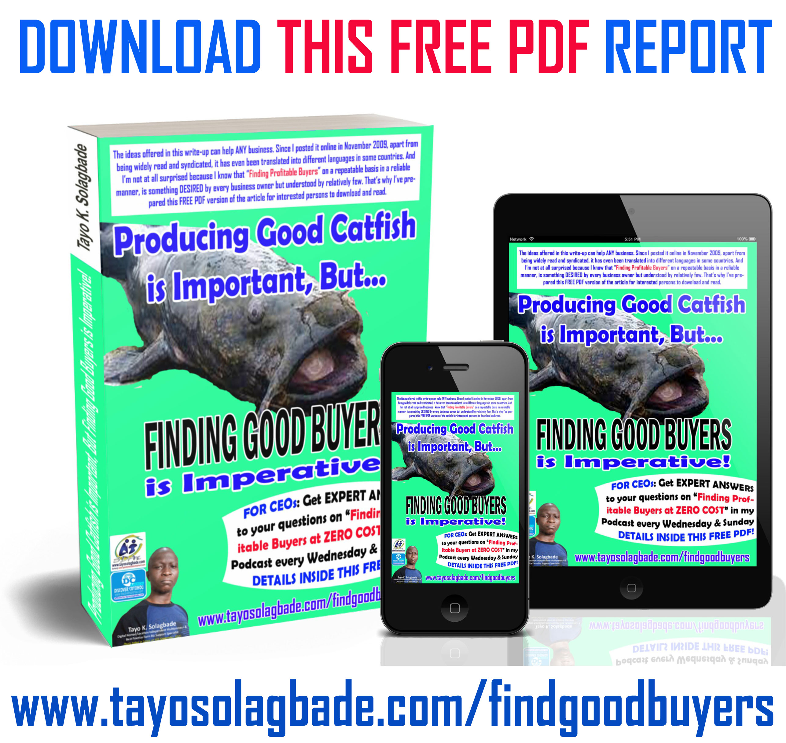 [PDF] Producing Good Catfish is Important, But Finding Good Buyers is Imperative! | Get ANSWERS TO YOUR QUESTIONS on “Finding Profitable Buyers at ZERO COST” for your products and services:
