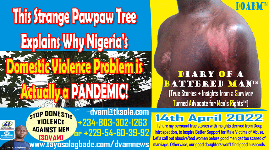 Strange Pawpaw Tree Shows Root Cause of Nigeria’s Domestic Violence (DV) is a “People Profiting from Victims’ Pains” Culture