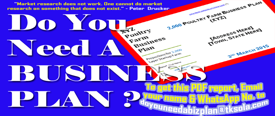 [NEW PDF VERSION] Do You Need A Business Plan If Your Idea Is New, Untested, or Unproven?