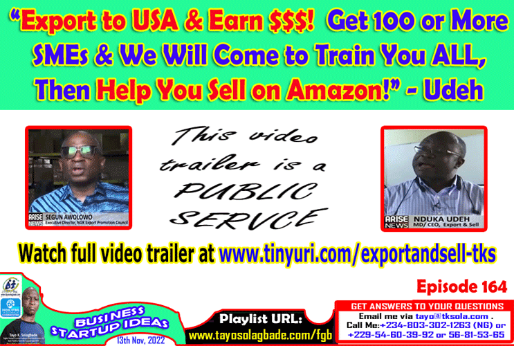 Export to USA & Earn $$$! Get 100 or More SMEs & We Will Come to Train You ALL, Then Help You Sell on Amazon! – Udeh